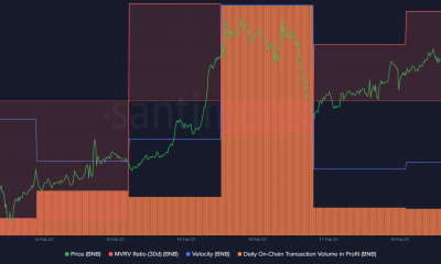 Analizando el informe semanal de BNB Chain para que pueda tomar la mejor decisión comercial