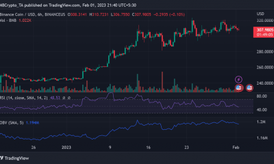 Movimiento del precio de Binance Coin (BNB)