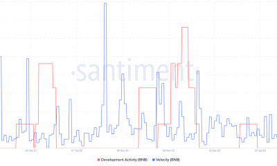 Actividad y velocidad de desarrollo en cadena de BNB