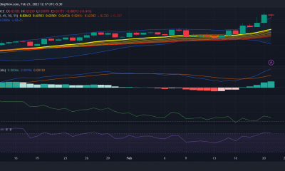 VeChain [VET] registra un crecimiento exponencial, pero ¿está en marcha una reversión?