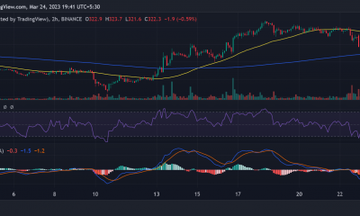 Movimiento de precios de Binance (BNB)