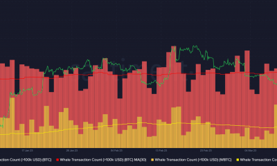 Recuento de transacciones de ballenas de Bitcoin (BTC) wBTC