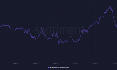 La actualización de desarrollo semanal de Cardano tiene información interesante para los comerciantes