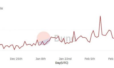 El uso de la red y las métricas clave de BNB tienen algo importante para usted