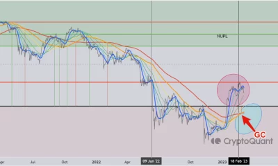 Bitcoin [BTC]: Los indicadores apuntan a un ciclo alcista, y los datos en cadena revelan...