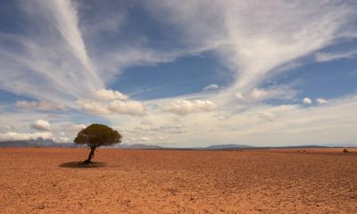 Coinbase reitera que "los servicios de staking continuarán", a pesar de la represión de la SEC