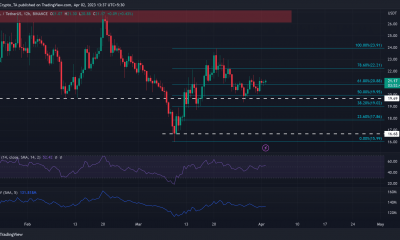 Solana [SOL]: Bulls salen a defender el soporte de $21 – ¿Prevalecerán?