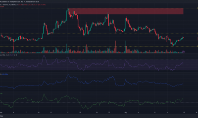Moneda Binance [BNB] los alcistas aseguran el soporte de $ 303: ¿hay más ganancias en camino?