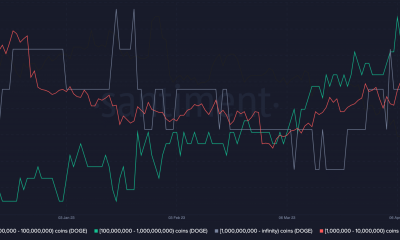 Equilibrio de ballenas Dogecoin