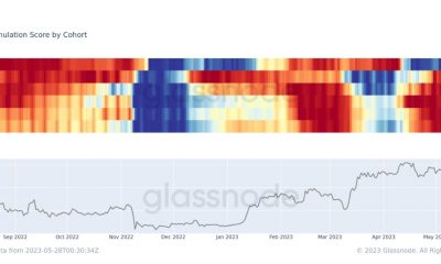 Bitcoin recupera $ 28.2k, las ballenas muestran entusiasmo por...