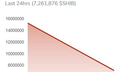 La velocidad de quema de la moneda Shiba Inu se vuelve roja, pero ¿qué piensan REALMENTE las ballenas?
