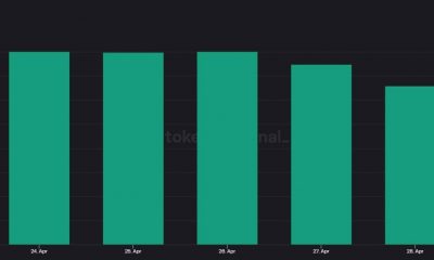 Binance [BNB] registra un repunte en esta métrica;  ¿El precio del token seguirá su ejemplo?
