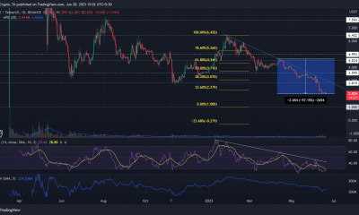 ApeCoin pierde un 50% en el segundo trimestre: ¿hay un final a la vista?