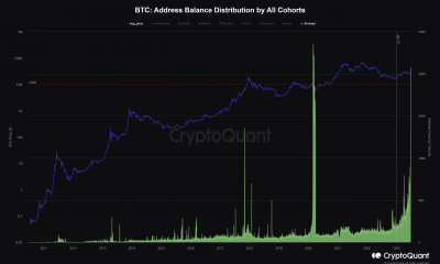 Cómo los camarones de Bitcoin emularon a las ballenas en una acumulación agresiva