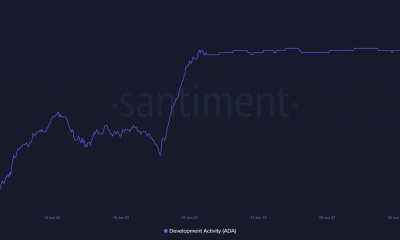 Cardano lanza Node 8.1.1: he aquí por qué debería importarle