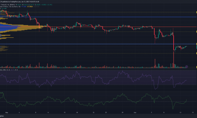 Cómo DOGE podría ofrecer nuevas oportunidades de compra