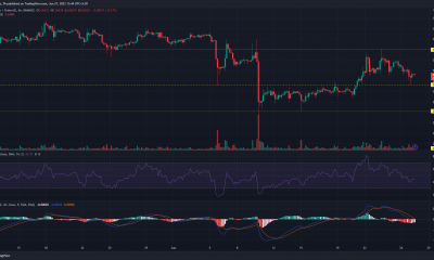 Gráfico de precios de DOGE (dogecoin) con barras verdes y rojas sobre un fondo oscuro