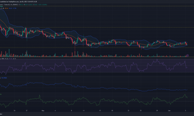 ¿El nivel de soporte de Ethereum Classic finalmente se derrumbará?