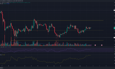 Esto es lo que los alcistas de Dogecoin pueden esperar la próxima semana después de una ganancia del 4% desde los mínimos de mitad de semana