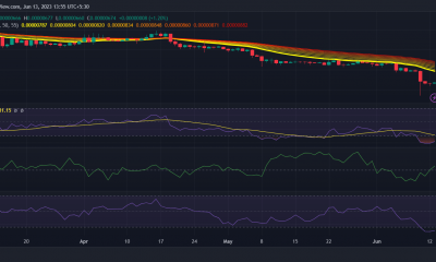 Whale compra 1,5 billones de SHIB, ¿suficiente para quedarse con los osos?