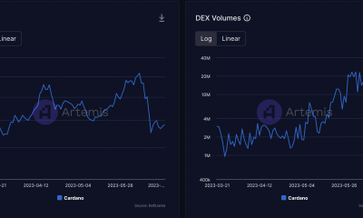 Cardano brilla a pesar de la volatilidad;  ¿Qué pasa con la ADA?