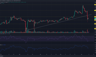 Un nuevo descanso para Tron en las listas lo llevará...