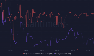 Actividad de desarrollo de Ripple y líneas de confianza XRPL