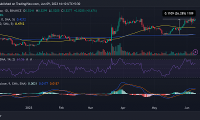 Movimiento del precio de ondulación/USD