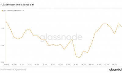 Actividad de ballenas Bitcoin