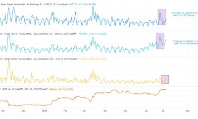 Bitcoin: los poseedores de 1 a 100 monedas intensifican las liquidaciones porque...