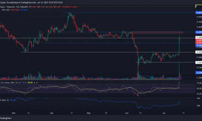 ¿Qué está obstaculizando el aumento de Cardano a $ 0.4?