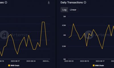 Cómo BNB cosechó los beneficios del lanzamiento de opBNB