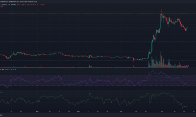 Gráfico de precios de Bitcoin Cash (BCH) sobre fondo oscuro con barras de precios verdes y rojas