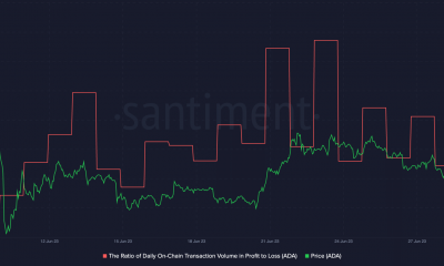 Cardano: Más en ganancias que en pérdidas y eso significa...