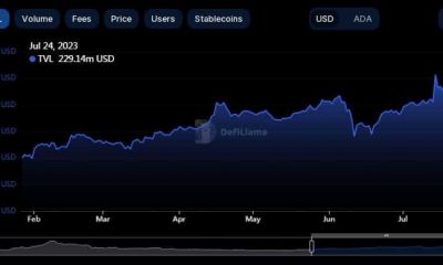 El valor de ADA se ve afectado, pero el TVL de Cardano podría compensarlo.  Así es cómo…