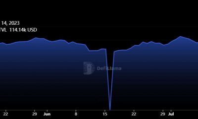 Polkadot en segundo lugar a Ethereum: lo que significa en el mercado alcista