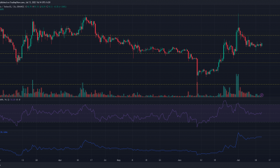 Gráfico de precios de Ethereum Classic sobre fondo oscuro con barras verdes y rojas