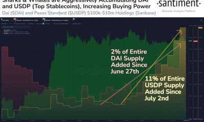 ¿Por qué los comerciantes de MakerDAO observan la acción del precio de Bitcoin?