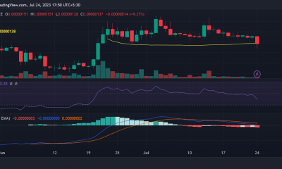 Evolución del precio del PEPE/USDT