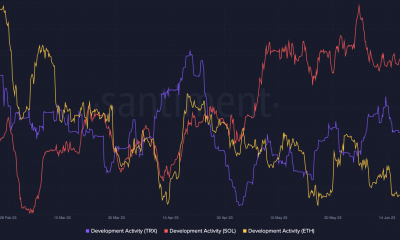 La actividad de desarrollo de Tron, junto con Ethereum y Solana