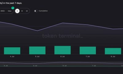 Polkadot: ¿Estas actualizaciones protegerán al DOT y sus métricas decrecientes?