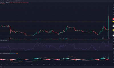 Gráfico de precios de Stellar Lumens XLM con barras verdes y rojas sobre fondo oscuro