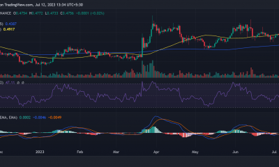 Movimiento del precio de ondulación/USD