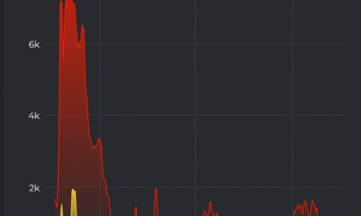 Bitcoin: ¿Se están quedando los osos en el camino?