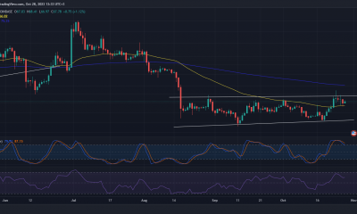 Acción del precio de LTC