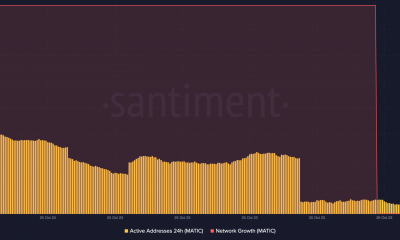 Crecimiento de la red Polygon y direcciones activas.