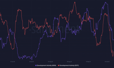 Actividad de desarrollo de Cardano y Polkadot