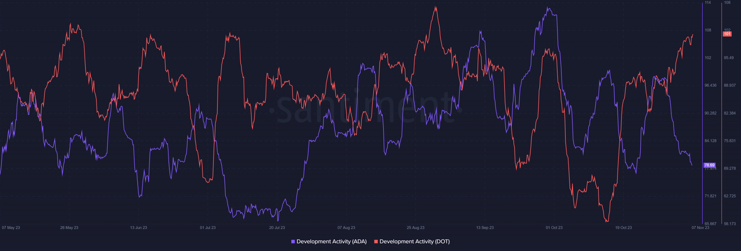 Actividad de desarrollo de Cardano y Polkadot