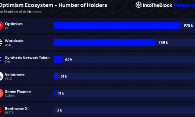 Titulares del optimismo [OP] token y Worldcoin [WLD token