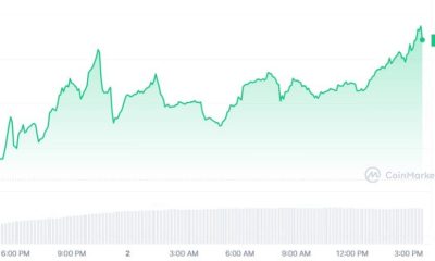 Todo sobre la propuesta TokenFi de Floki Inu y su efecto en los precios